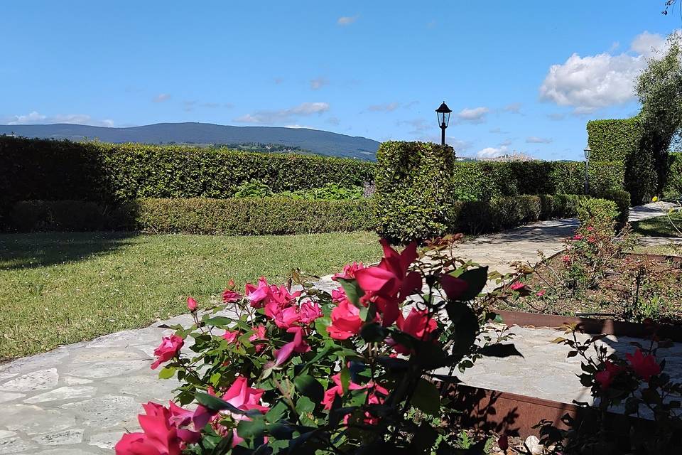 Giardino