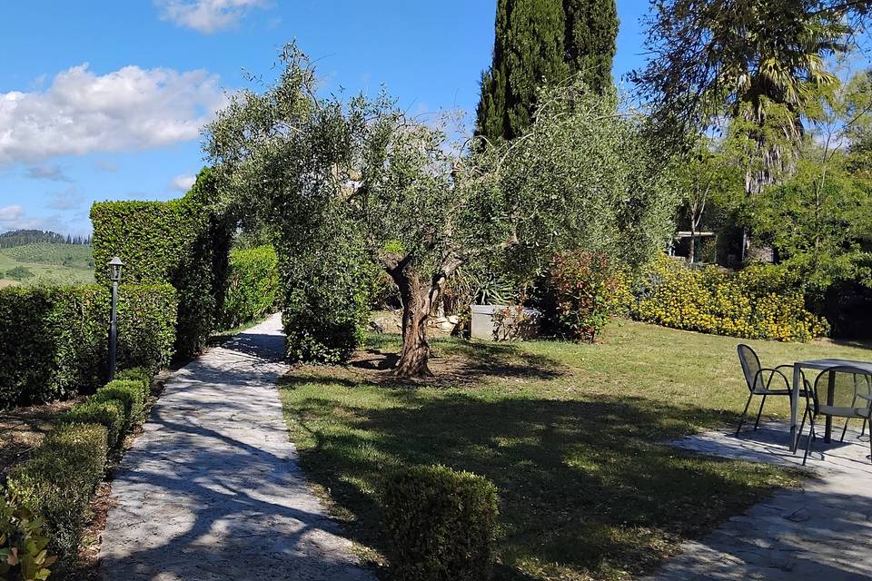 Giardino