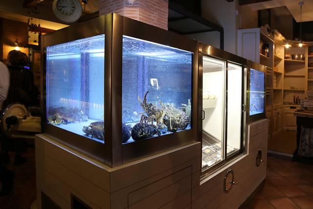 Acquario