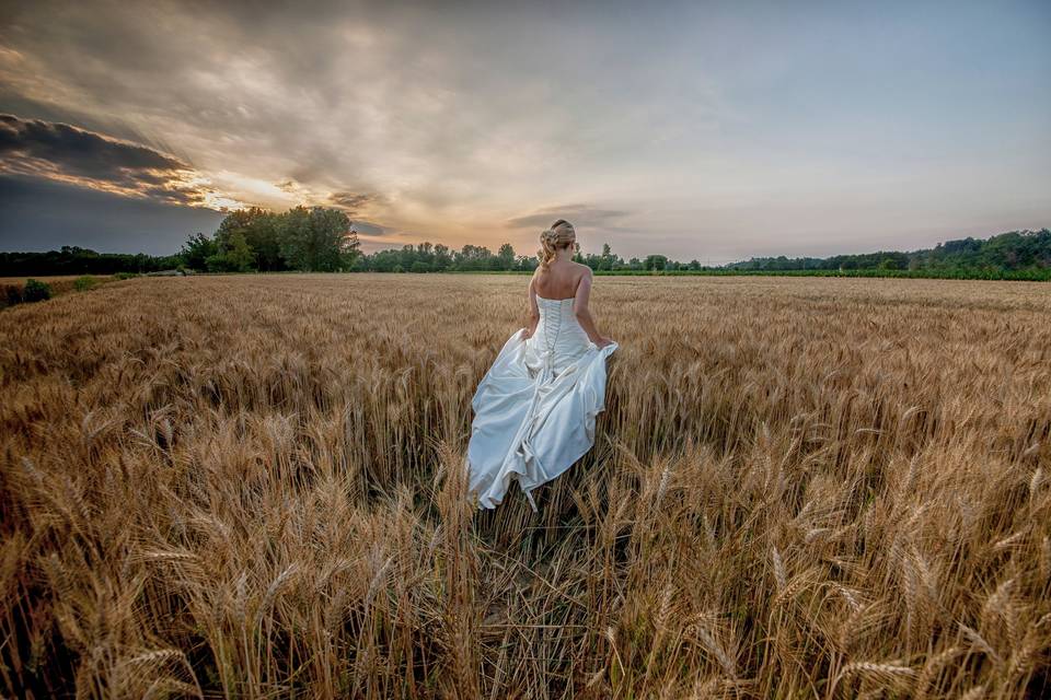 Sposa Campo di Grano