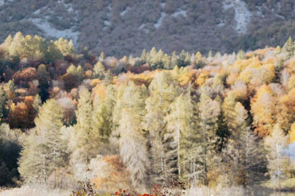 Matrimonio in autunno