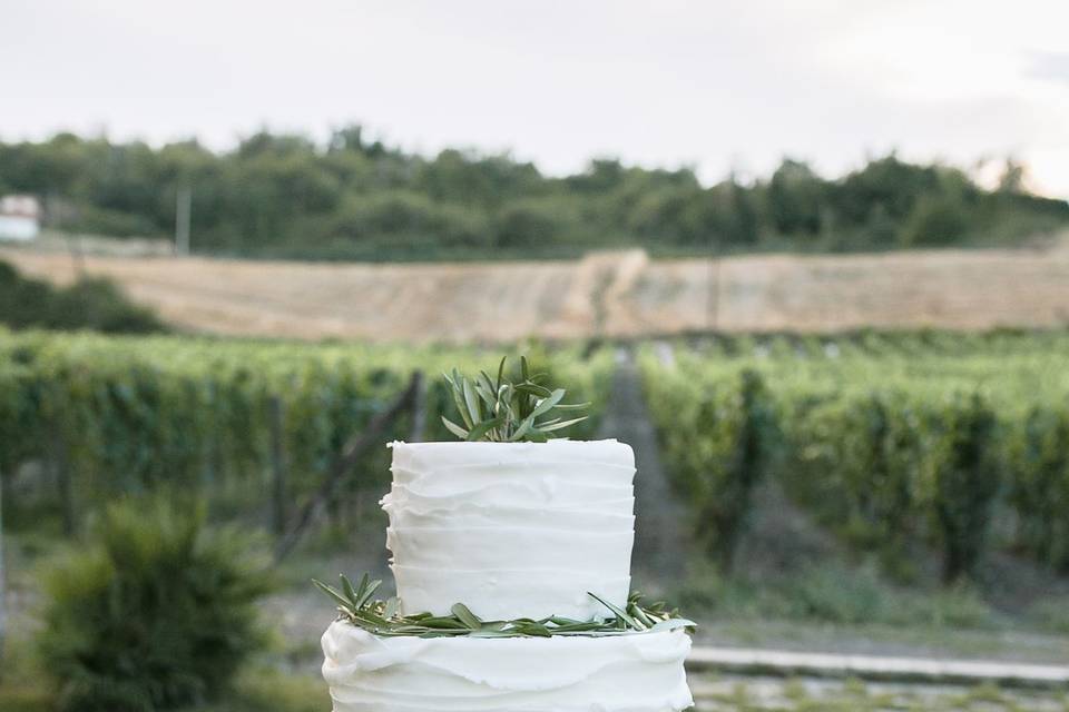 Torta con vista sul vigneto