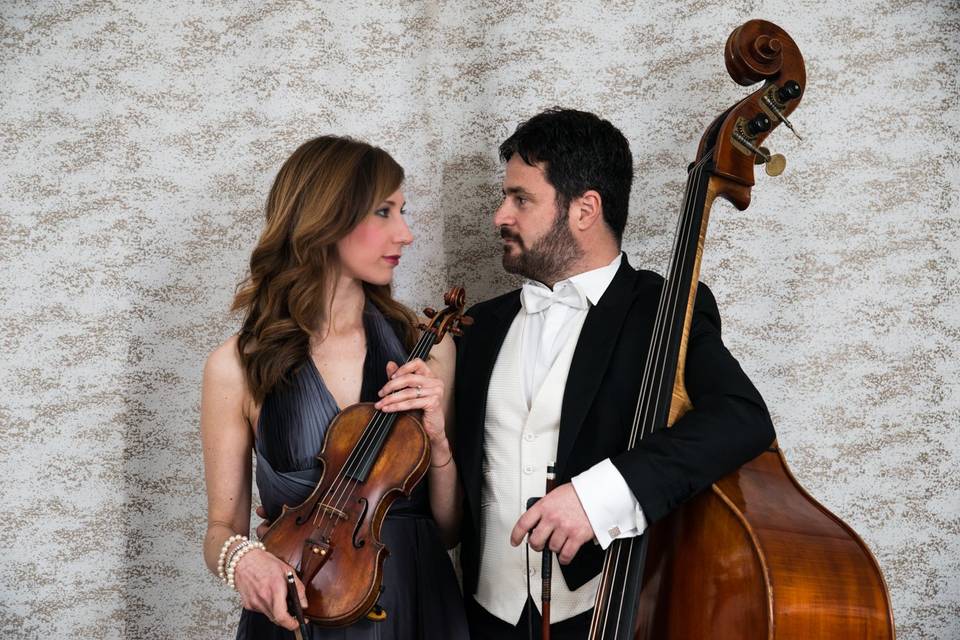 Violino e contrabbasso