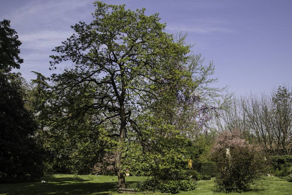 Giardino interno