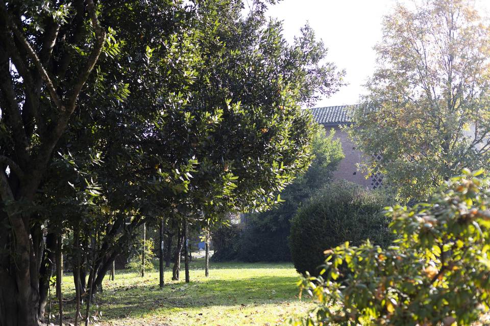 Il giardino
