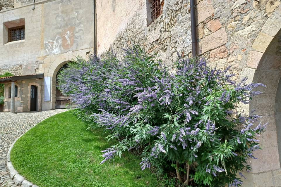 Ingresso entrata cortile