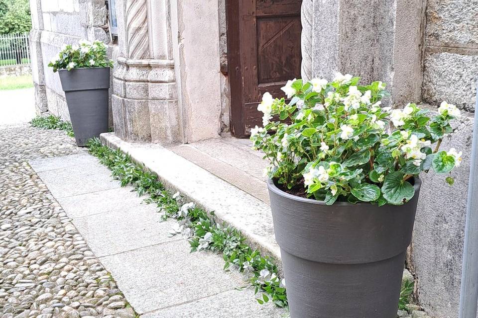 Ingresso Colleggiata