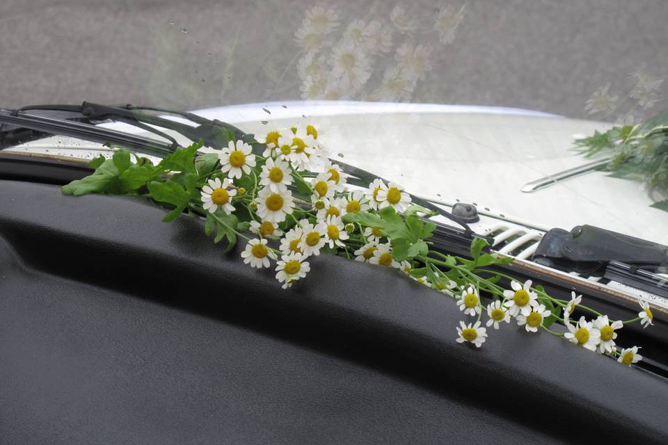 Decorazione interna auto sposi