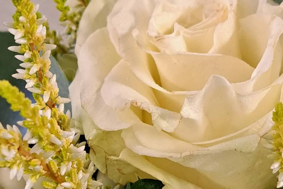 Decorazioni floreali