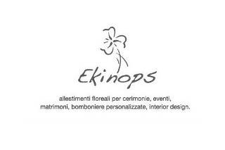 Logo Ekinops