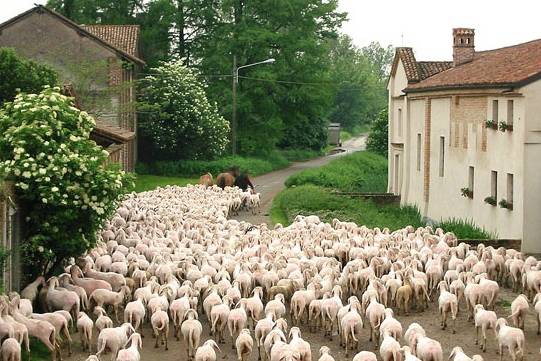 Agriturismo Cascina Rosio