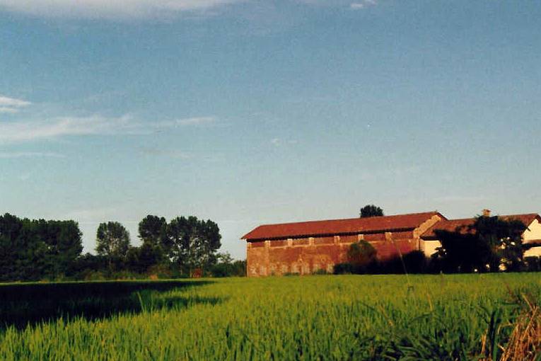 La cascina e le risaie