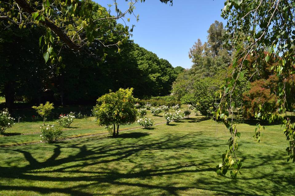 Giardino