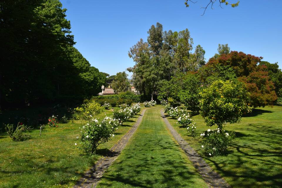 Viale delle rose