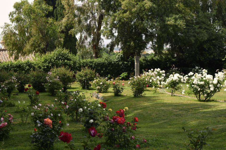 Roseto
