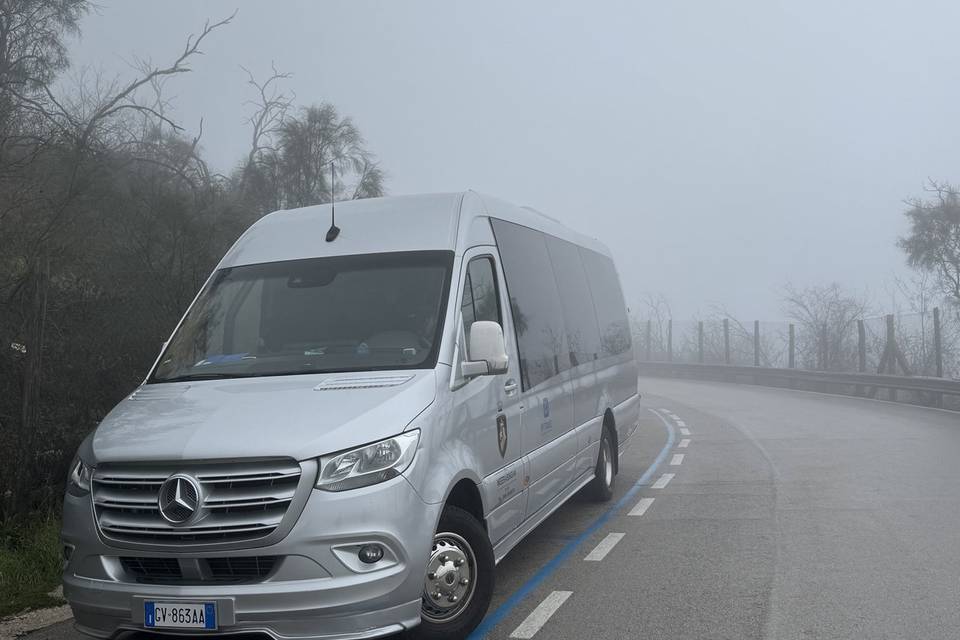 Sprinter 20 posti