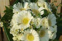 Bouquet con gerberine