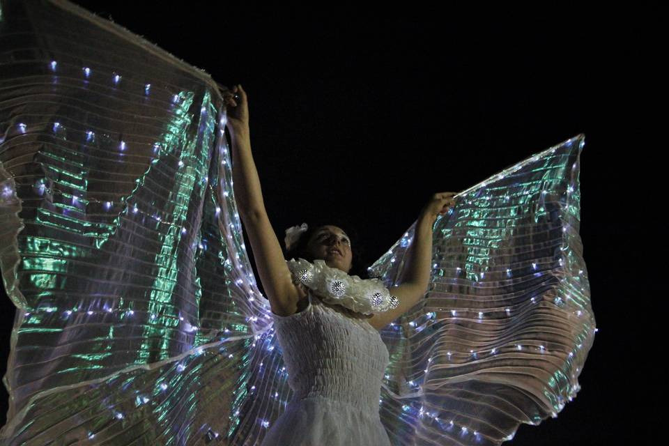 Led butterfly