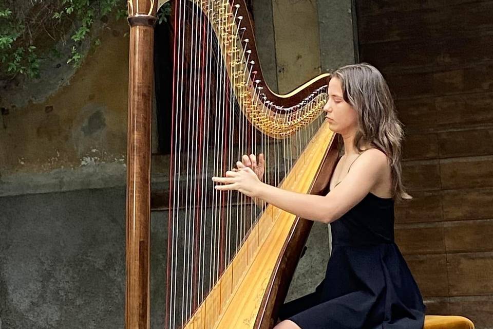 Ailyn Masoudi Harp