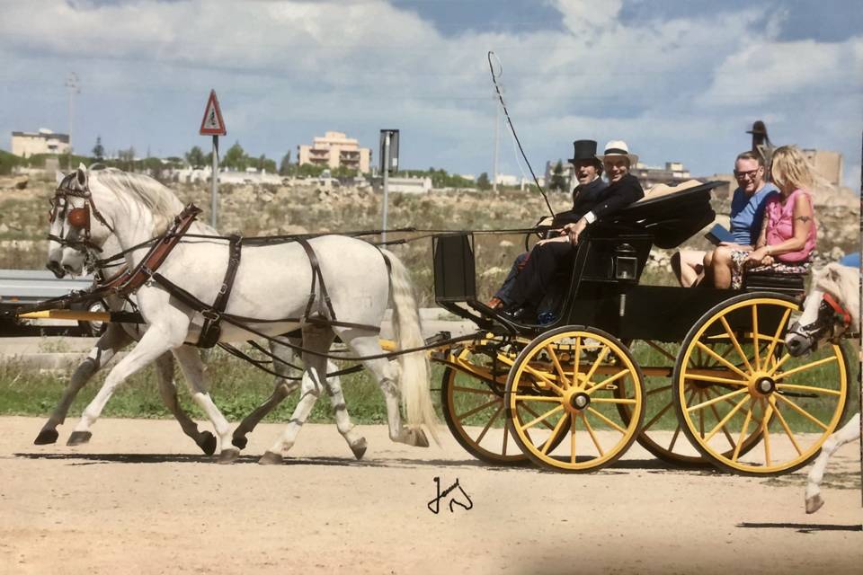 Mail phaeton