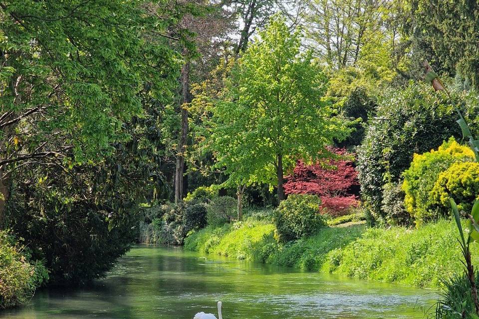 Fiume Taglio da Cancelleria