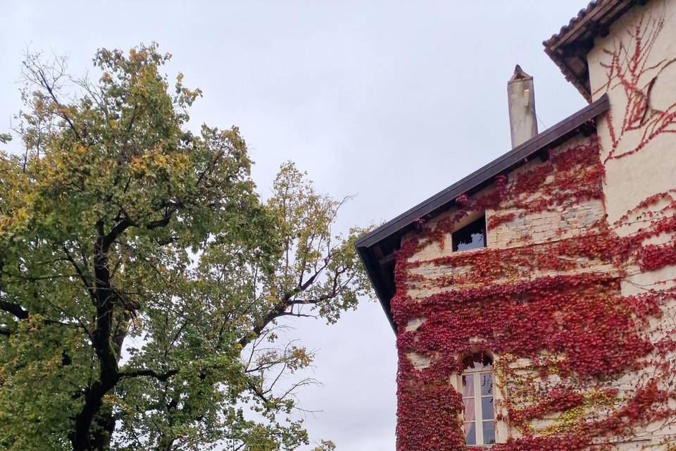 Torre Ottoniana e parco