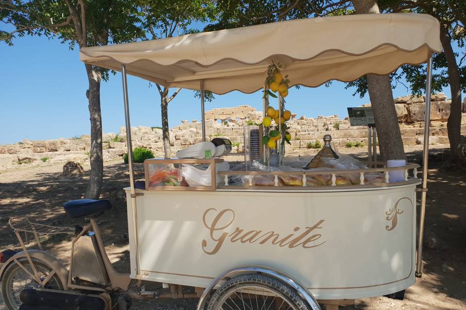 Carrozzina gelati