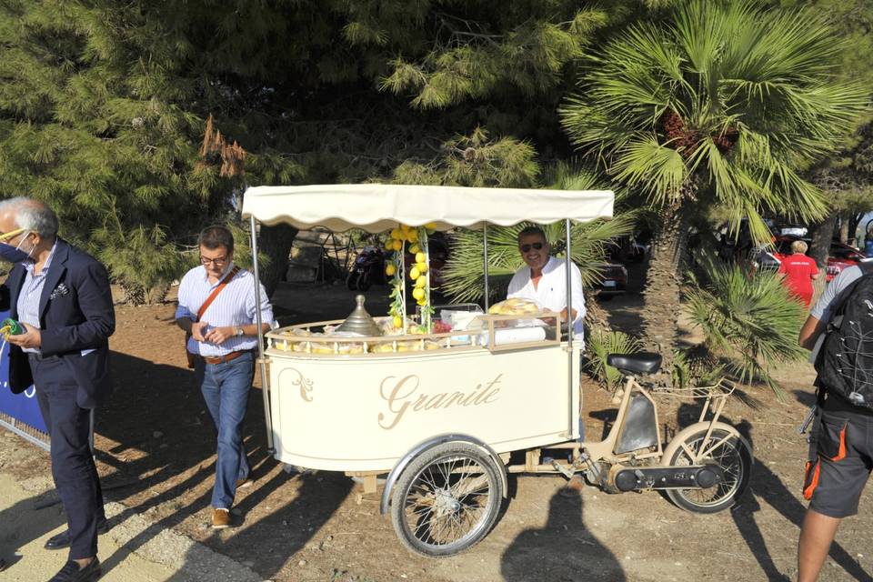 Carrozzina