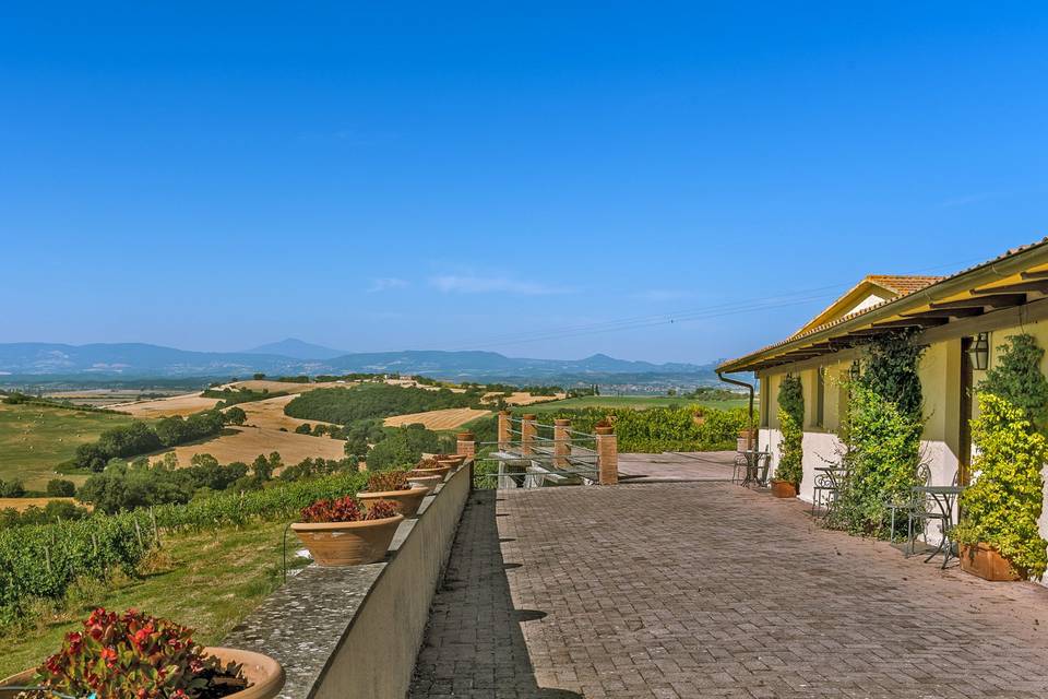 Esterno camere e vigna
