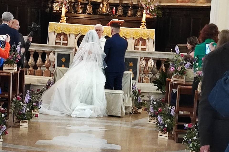 Lasuitedei4zampe