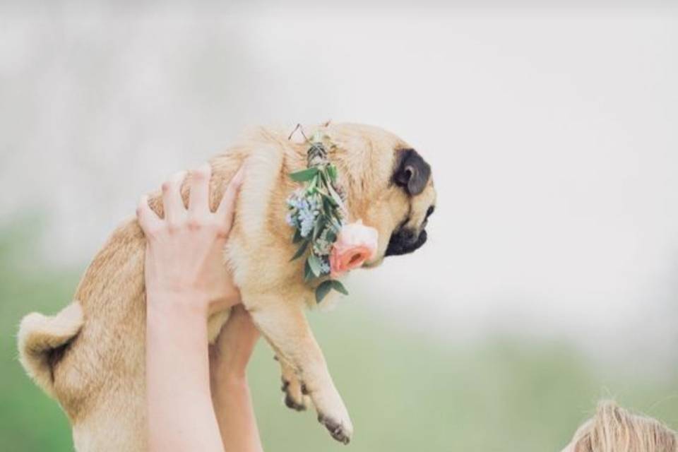 La felicità