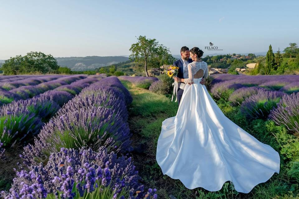 Giuseppe Felaco Fotografo