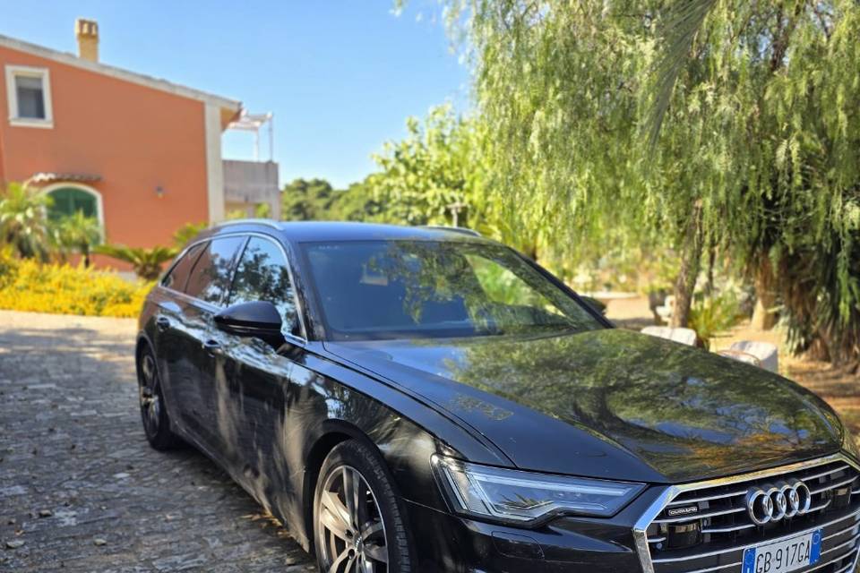 Amore Travel Elité