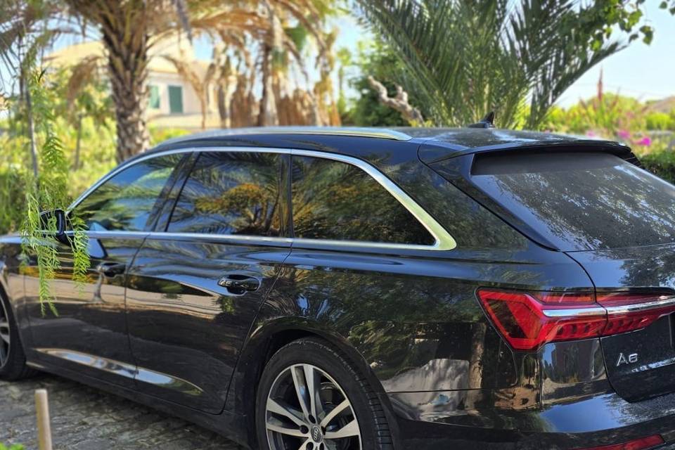 Linea dinamica