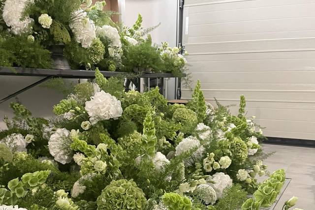 Allestimento bianco verde