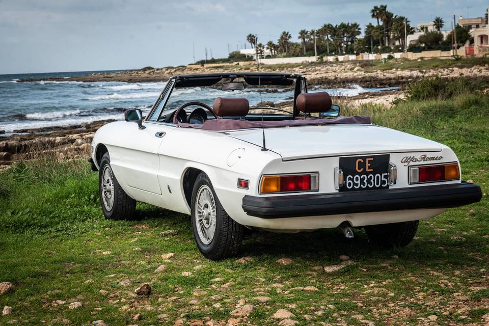 Alfa Romeo spider duetto