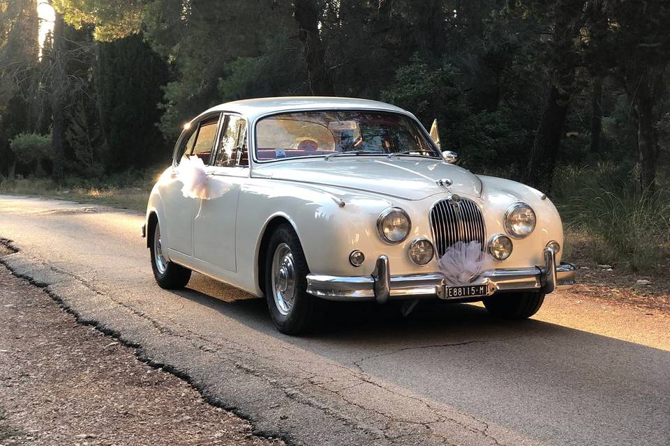 Jaguar mk2