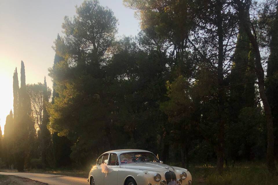 Jaguar mk2