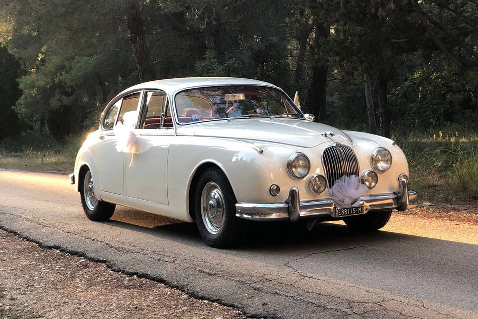 Jaguar mk2