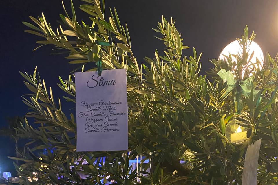 Istanti Magici