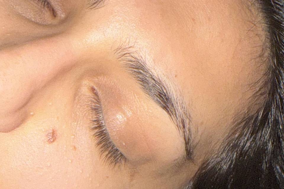 Prima