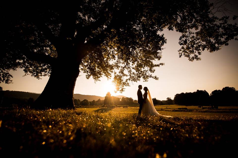 Wedding reportage