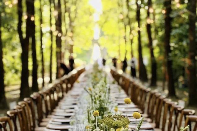 Cena nel bosco