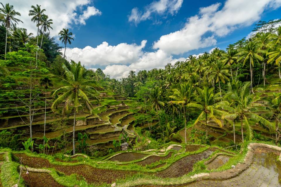 Bali viaggio