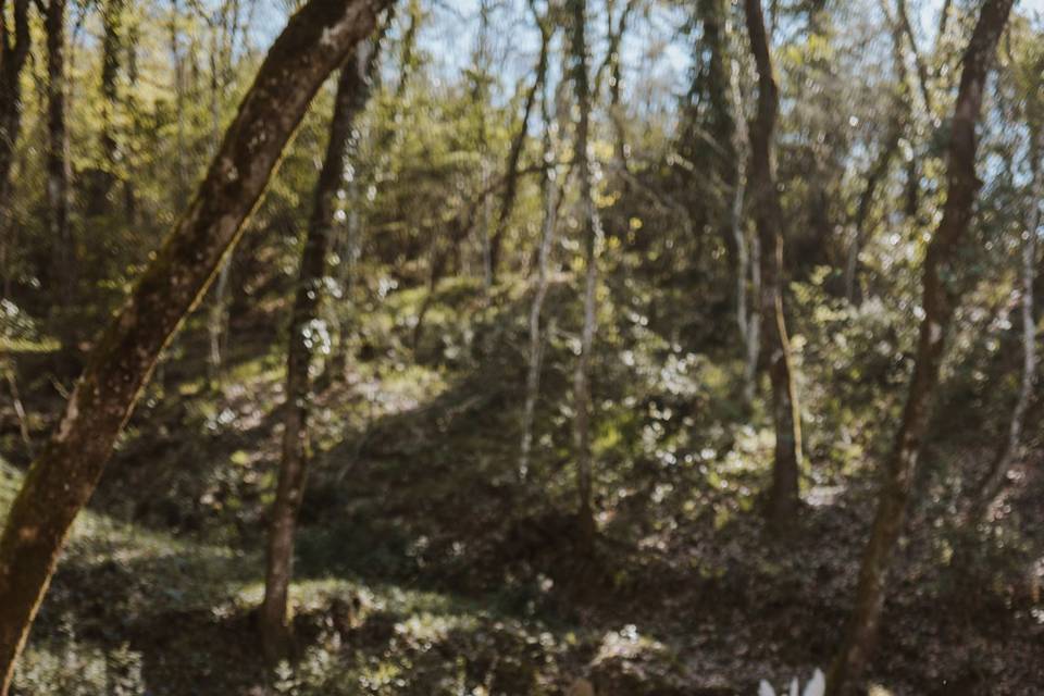 Matrimonio nel bosco