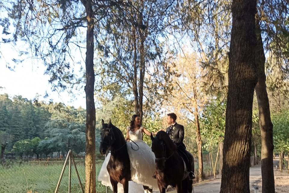 Matrimonio a cavallo