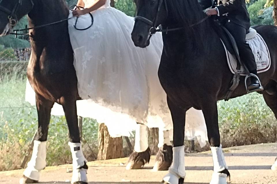 Matrimonio a cavallo