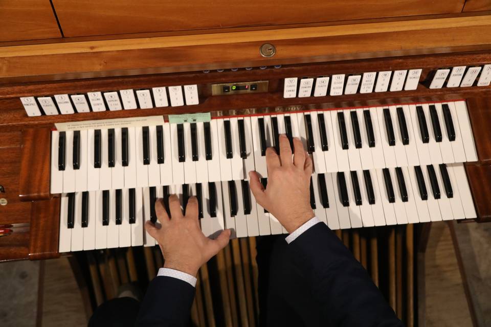 Organista matrimonio