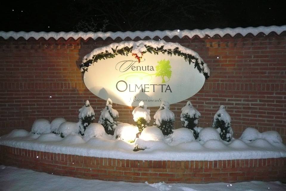 Tenuta Olmetta