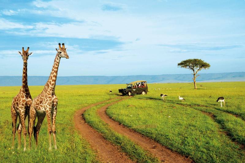 Safari in Africa